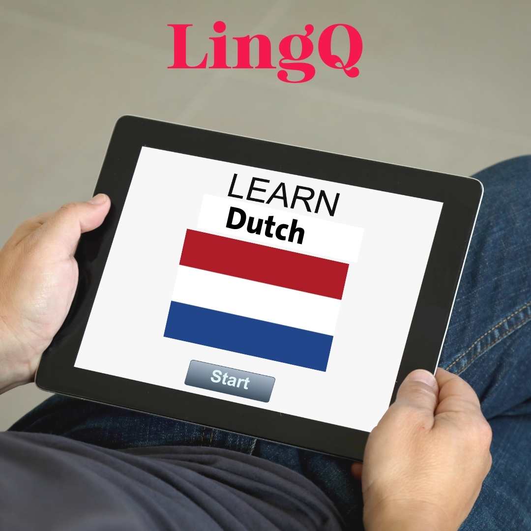 LingQ learn dutch, lingq learn languages, learn dutch online, dutch learning app, dutch online course